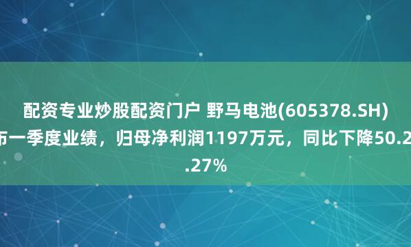 配资专业炒股配资门户 野马电池(605378.SH)发布一季度业绩，归母净利润1197万元，同比下降50.27%